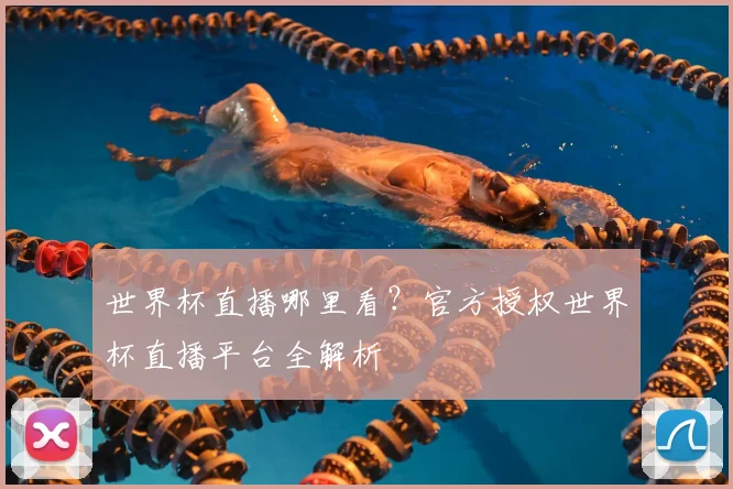 世界杯直播哪里看?官方授权世界杯直播平台全解析