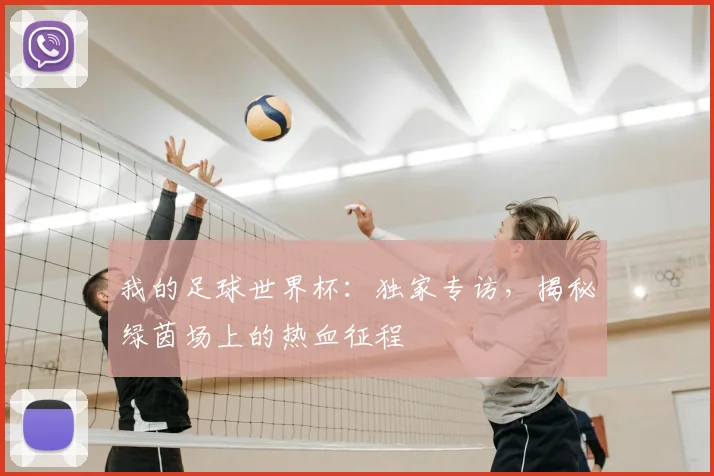 我的足球世界杯：独家专访，揭秘绿茵场上的热血征程