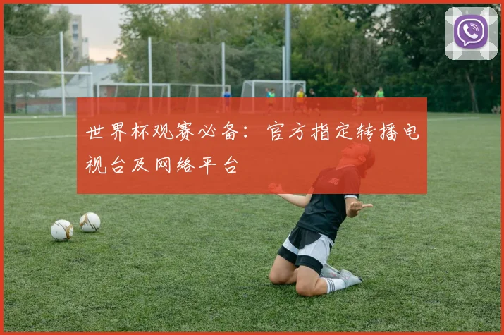 世界杯观赛必备:官方指定转播电视台及网络平台