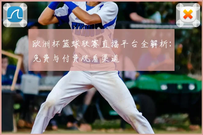 欧洲杯篮球联赛直播平台全解析：免费与付费观看渠道