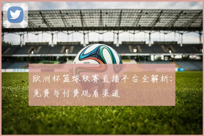 欧洲杯篮球联赛直播平台全解析：免费与付费观看渠道