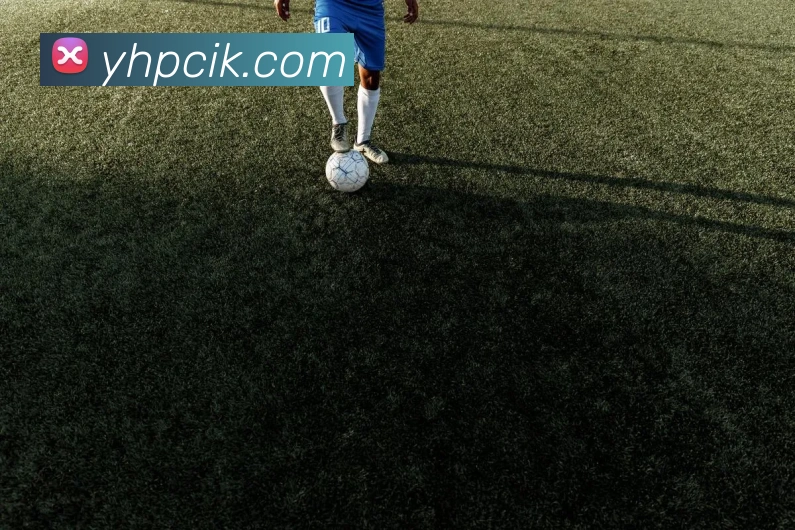 milan米兰app官网下载服务体系